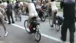 Coccozella-SiteRIP 0167-lg-WNBR-2008-3-9