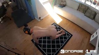 online video 8 yuri femdom Bondage Life – Sleepy Pet Rachel Greyhound, bondage life on bdsm porn-9