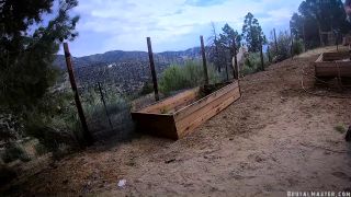 BM Greyhound - A Hot Day At The Ranch (08.14.19.) Quick V...-2