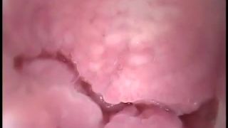 7147 Pregnant, big boobs, pregnant girl, lactation 10-5