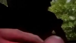 free adult clip 2 Amateur Jerking In The Bus - exhibition - hardcore porn porn hardcore group-8