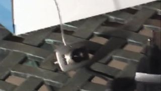 RoughManSpank net RoughManSpank 2007 andrsash1-1