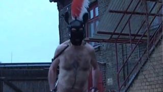 Speed testing for the next sulkies race.-1