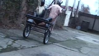 Speed testing for the next sulkies race.-9