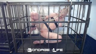 online xxx video 8 Bondage Life – Cage Time With Greyhound (Rope Edition) – 11/22/2021 | bondagelife | feet porn bdsm whipped-3