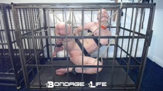 online xxx video 8 Bondage Life – Cage Time With Greyhound (Rope Edition) – 11/22/2021 | bondagelife | feet porn bdsm whipped-5