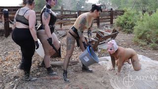 free online video 25 Satanatrix - Lady Vi, Duchess, Goddess Nyx - Putrid Little Pig Pussy - FullHD 1080p - fetish - strap on lady sonia femdom-1