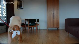 Alexa - leash Walk Video Sex Download Porn-5