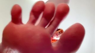 porn clip 22 TSUnderebean 2020-06-18 5eebc417cab1e6deb8a19 source Video, best foot fetish porn on feet porn -9