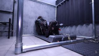 Fantia jp DDD04004120 (Human Dog Machine) ヒトイヌマシーン ショート２-5