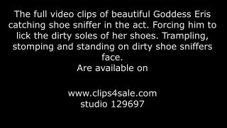 online xxx video 4 Mistress Eris – Shoe Sniffer Caught In The Act Face Trample Part 1 – Footworship, Footlicking, penectomy fetish on fetish porn, flats fetish on femdom porn -9