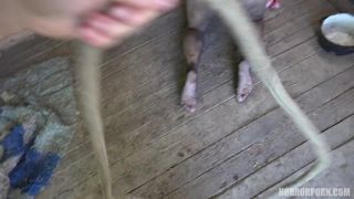  Horror Porn - Wild Beast, horror on euro-1