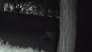 free adult clip 18 FU10 Night Crawling 50 | fu10 night crawling 50 | voyeur -5