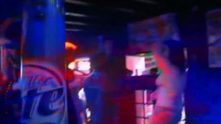 Coccozella-SiteRIP 0450-drdogg-mg2008-05-9