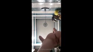 Eva Miller Kinky - eva miller13 () Evamiller - i have a very roomy shower enough for enough for other activities as well 08-03-2022-9