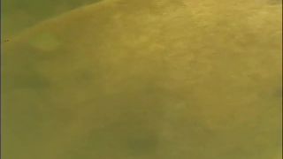 porn clip 15 lea lexis femdom Exotic Illusions #2, marie-anne on fetish porn-3