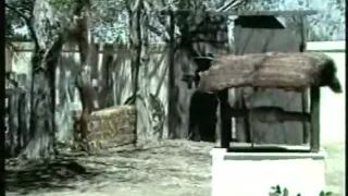 American Tickling Classics 18 Download Porn Videos in Go...-3