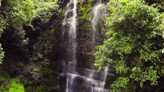 New Zealand Photoshoots. Quick View Porn - New Sex Videos...-1