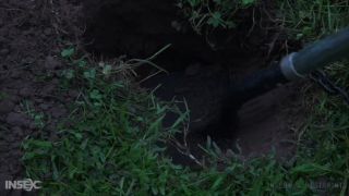 online adult clip 44 Rain DeGrey - REIGN OF HUMILIATION - bdsm - bdsm porn karlee grey bdsm-8