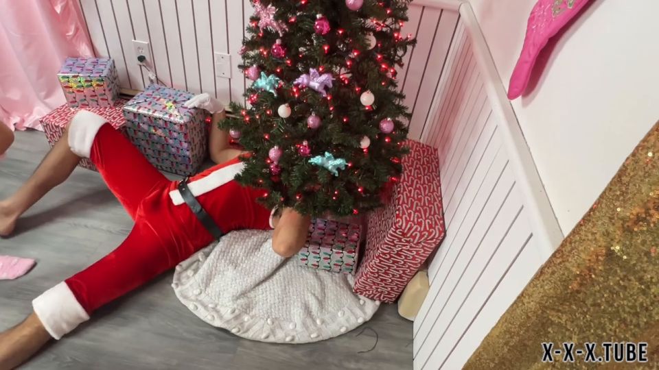  Dallasdom Studios  Dallasdom Studios Santa S Reverse Stuck Amp Fuck  Christmas