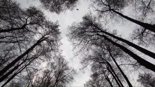 Making Public Sex in City Parks - Public-2