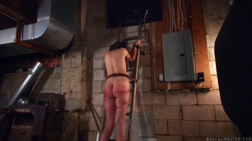 video 46 Dog - Crouching Dog Hidden Slut - New BDSM VIP Porn - bondage - bdsm porn twink bdsm porno
