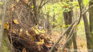 Terra - Brunette Fuck With Old Man In Park (Euro sex)-7