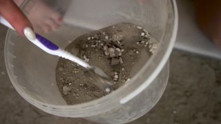 Cassandra's Dirty Torment (Lesbian girls)-1