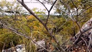 Hd Videos Lovely day-5