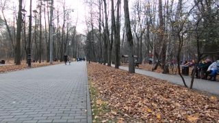 ebony amateur amateur porn | Walking around City Park with Stepsister and Making Public Sex in Forest [FullHD 1080p] | home amateur video-1