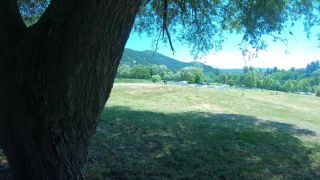 Sunday Picnic At Public Parks - Public-1