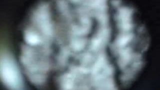 video 6 Spain couple public sex nude | norwegian couple public sex nude | public -5