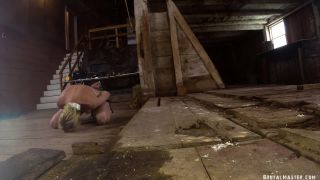 The Pig Balls And Ass Holes Download New Porn Video Fast ...-7