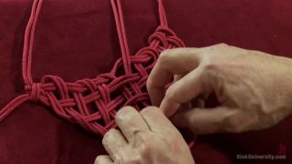 Tom Foolery And Hexxus Decorative Bondage And Hair Ties D...-7