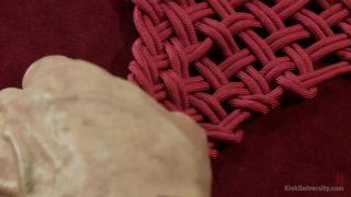 Tom Foolery And Hexxus Decorative Bondage And Hair Ties D...-8