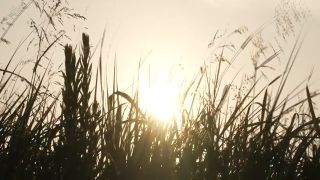 [SuperMisses.com] GIGP-66 Heroine's SAGA #4 ~Only courage can change your destiny~-019-6