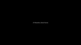 ManyVids 2024 Sydney Harwin 8 Months And Feral.-1