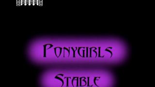 Ponygirls Stable-0