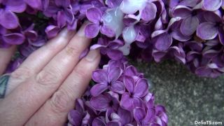 Delia DeLionsDelia DeLions / Delia TS Pollinating the Lil...-9