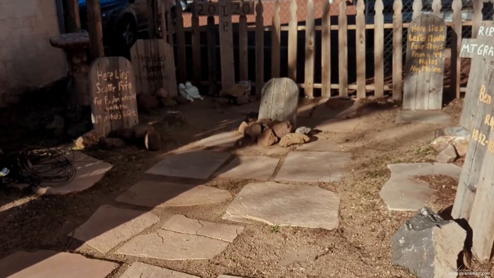 asianastarr 2024-05-15 Day Trip to Bearizona for Martin s Birthday VLOG April 2024   zfzmd8