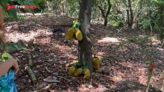 Vlog - Trilha Pelo Camping Terminou Em Anal Com a Vista Mais Linda De Japarat...-1