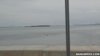 Pristine Edge Miami Tours, The Bangbus Way Bb13644 03.12.14 - Amateur-1