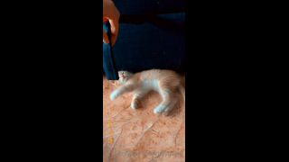 adult video clip 2 duke hardcore xxx hardcore porn | Mira - heyhorny / Onlyfans Heyhorny - cat therapy 22-09-2020 - Fetish | hardcore-1