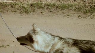 video 22 [ShowyBeauty] Gloria - Forest Walk, best hentai sex games on hardcore porn -1