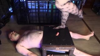 online porn video 34 pantyhose femdom femdom porn | Valleycat – Stomped Under Spooky Fishnets – Halloween | fetish-9