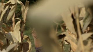 Darcy Fowers - Messengers 2 The Scarecrow (2009) HD 1080p!!!-4