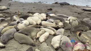 [K2S.CLUB] Dez Hansen - Central Cali Part 4 And 5 BTS - FullHD 1080P-2