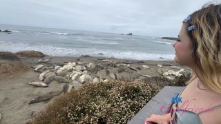 [K2S.CLUB] Dez Hansen - Central Cali Part 4 And 5 BTS - FullHD 1080P-3