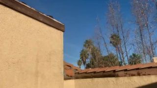 Nikki Luvs BBC Sneaking on Rooftop for Anal Play - ManyVids-1