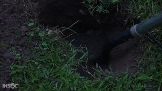 InfernalRestraints - Rain DeGrey - REIGN OF HUMILIATION - BDSM-8